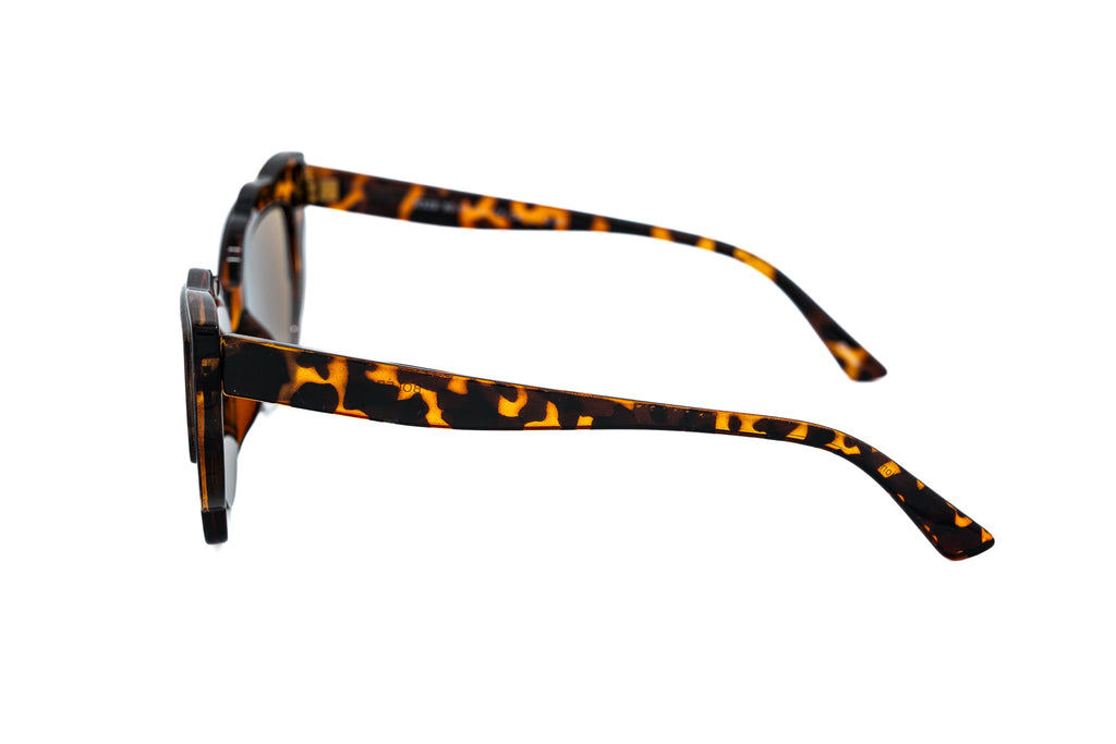 Floriva – Oversized Cat-Eye Sunglasses | Bolero Eyewear
