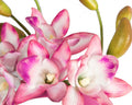 Exclusive pink flower fascinator headband by Cupids Millinery