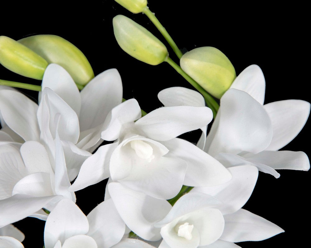 Exclusive white flower fascinator headband by Cupids Millinery